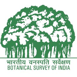 भारतीय वनस्पति सर्वेक्षण